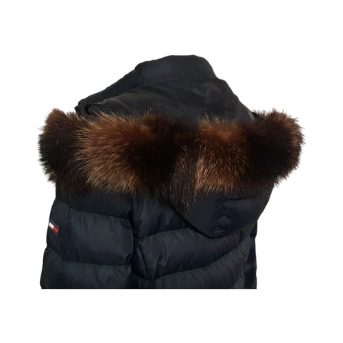 Waschbär pelzstreifen - waschbär,