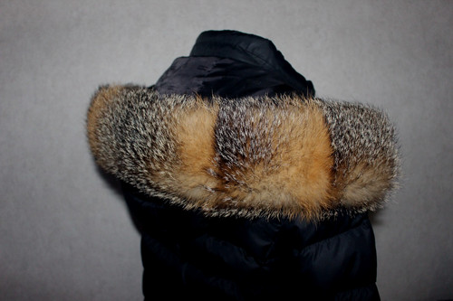 Pelzstreifen grießfuchs pelz - grießfuchs,