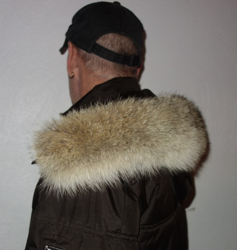 Luxus coyote pelz - pelz, kapuze