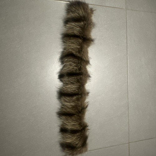 Waschbär fell kapuze pelz - waschbär,